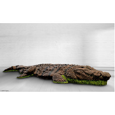 Wildcrete Crocodile